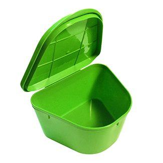 Denture Cup w/Hinged Lid, Green, 2"x4"x3"