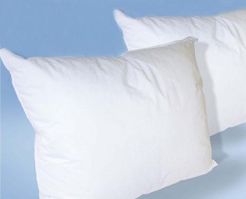 Pillow Sweet Dreams Standard 20"x 26" 33oz Fill - 12ea/cs